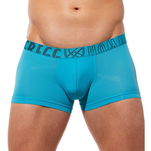 Men's Gregg Homme 190405 Yoga Breathable Trunk (Aqua L)