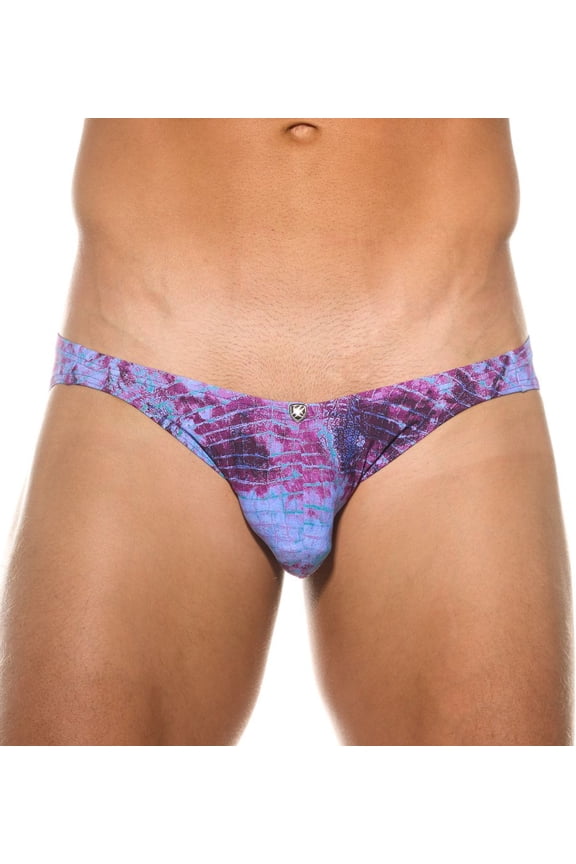 Men's Gregg Homme 200735 Abyss Swim Brief (Purple XL)