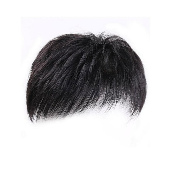 Men's Hair Topper Black Natural Realistic Scalp Coverage Wig with Breathable Rose Net