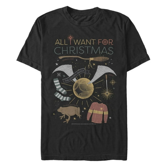 Men's Harry Potter All I Want for Wizard Christmas Graphic T-Shirt