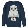 thumbnail image 1 of Men's Harry Potter Cartoon Hedwig Letter Sweatshirt Navy Blue 3X Large, 1 of 4