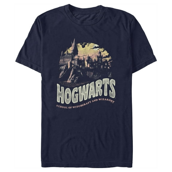 Men's Harry Potter Distressed Hogwarts Circle  Graphic Tee Navy Blue Large