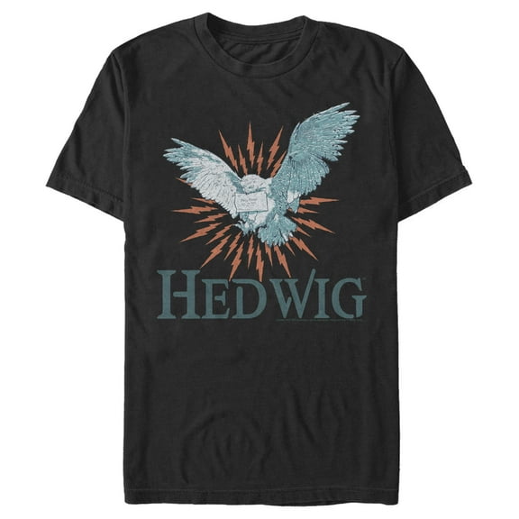 Men's Harry Potter Hedwig Owl Flight Graphic Tee Black 2X Large