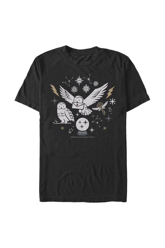Men's Harry Potter Hedwig Winter Owl Graphic Tee Black 3X Large