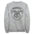 thumbnail image 1 of Men's Harry Potter Hogwarts 4 House Crest  Sweatshirt, 1 of 4