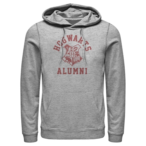 Men's Harry Potter Hogwarts Alumni Pull Over Hoodie Athletic Heather 2X Large