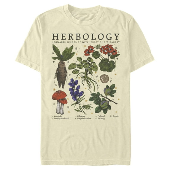 Men's Harry Potter Hogwarts Herbology Graphic Tee Beige Large