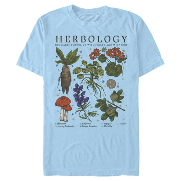 Men's Harry Potter Hogwarts Herbology  Graphic Tee Light Blue Large