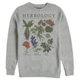 thumbnail image 1 of Men's Harry Potter Hogwarts Herbology  Sweatshirt Athletic Heather 2X Large, 1 of 3