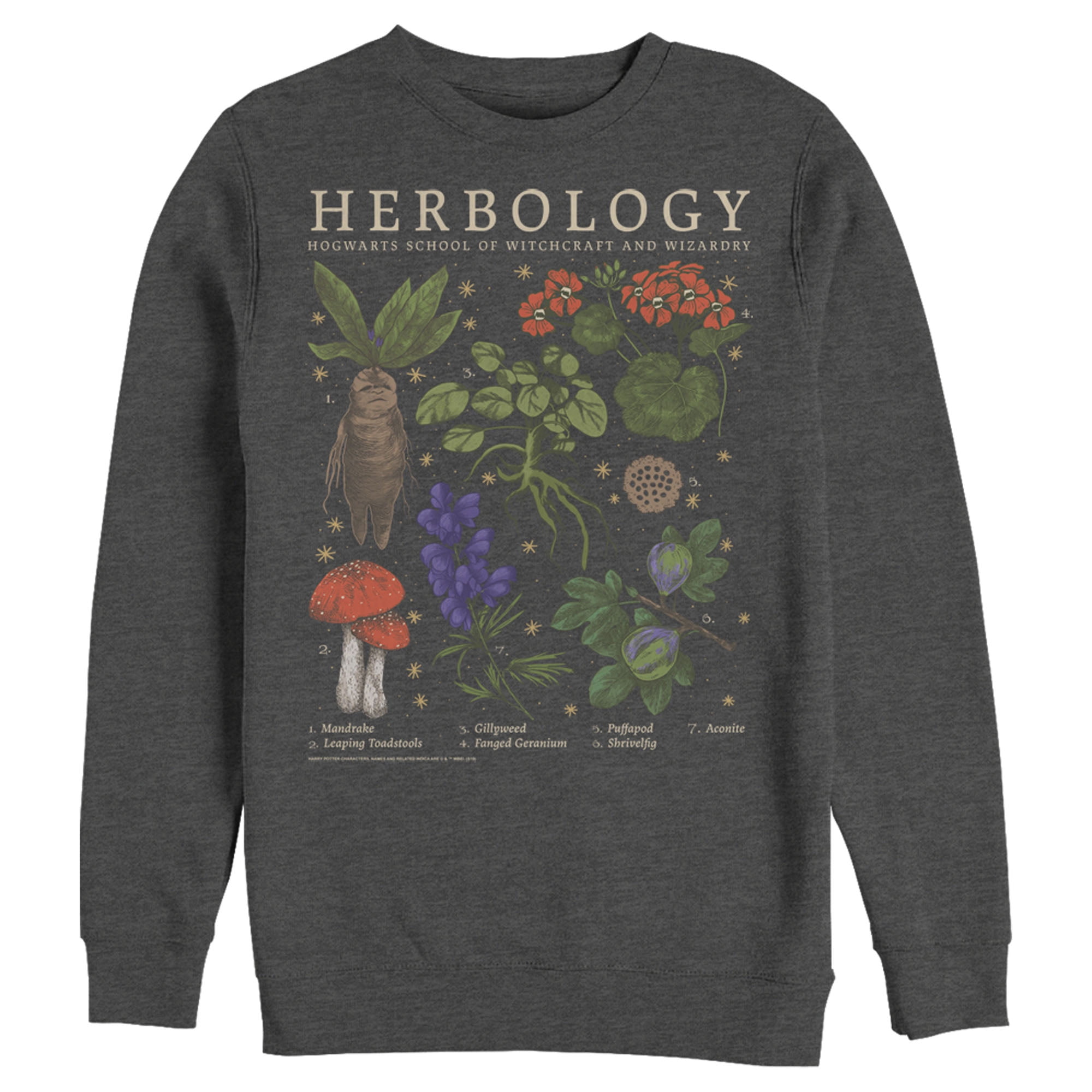 Men's Harry Potter Hogwarts Herbology Sweatshirt Charcoal Heather 2X Large
