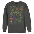 thumbnail image 1 of Men's Harry Potter Hogwarts Herbology  Sweatshirt Charcoal Heather X Large, 1 of 4