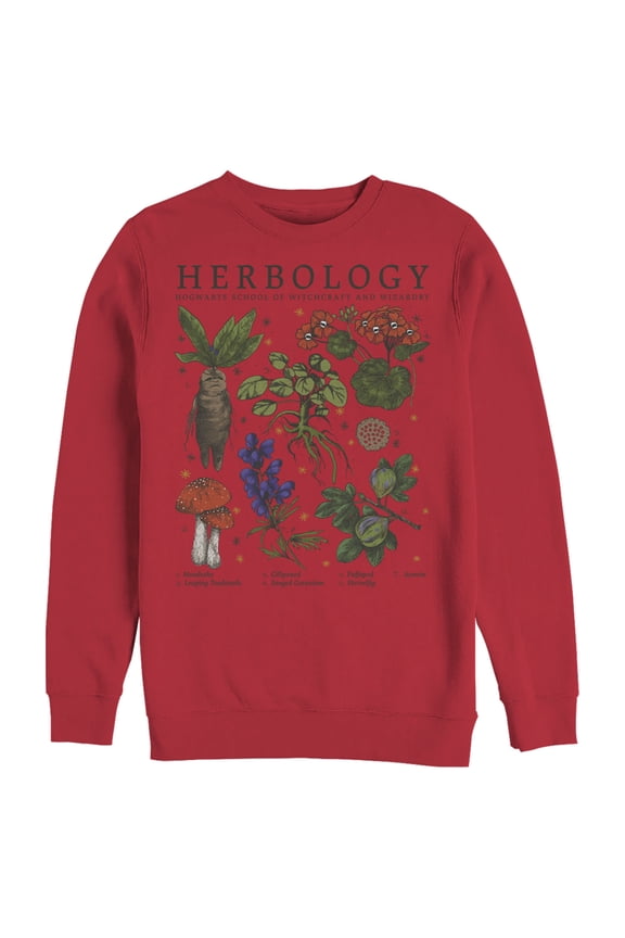 Men's Harry Potter Hogwarts Herbology Sweatshirt Red 3X Large