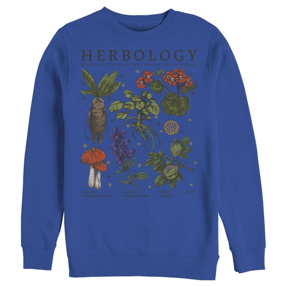 Men's Harry Potter Hogwarts Herbology Sweatshirt Royal Blue 3X Large