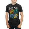 thumbnail image 1 of Men's Harry Potter Hogwarts Houses Vintage Collage  Graphic Tee Black Small, 1 of 6