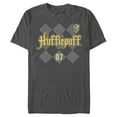 thumbnail image 1 of Men's Harry Potter Hufflepuff Argyle Print  Graphic Tee Charcoal X Large, 1 of 5