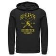 thumbnail image 1 of Men's Harry Potter Hufflepuff Quidditch Seeker Pull Over Hoodie Black 3X Large, 1 of 4
