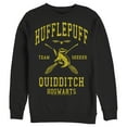 thumbnail image 1 of Men's Harry Potter Hufflepuff Quidditch Seeker Sweatshirt Black Small, 1 of 4