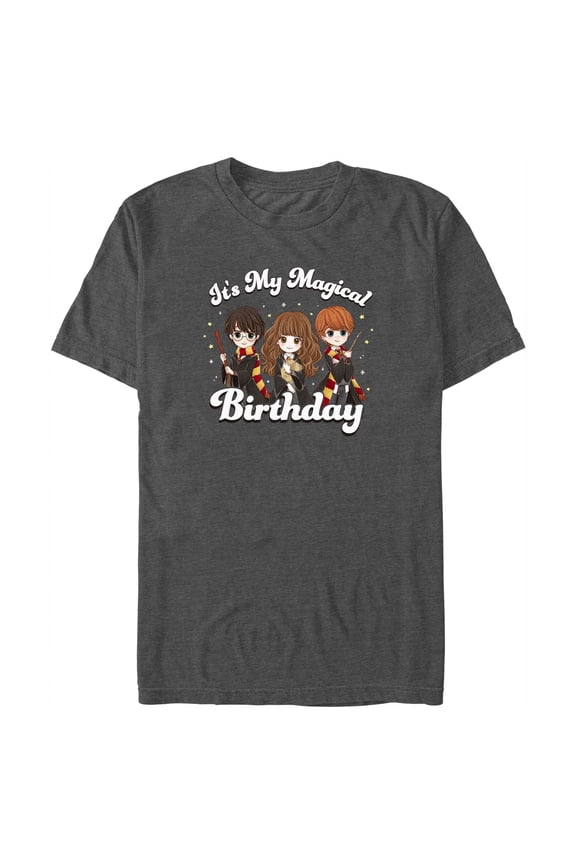 Men's Harry Potter It’s My Magical Birthday Cute Characters Graphic Tee Charcoal Heather 2X Large
