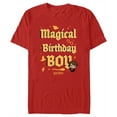 thumbnail image 1 of Men's Harry Potter Magical Birthday Boy Icons  Graphic Tee Red Large, 1 of 5