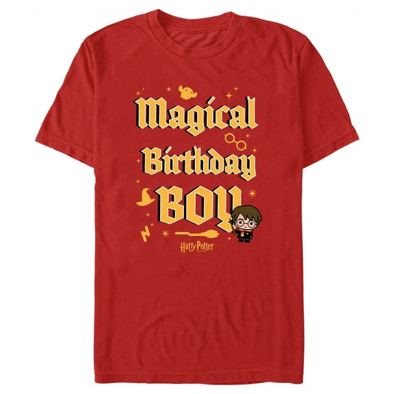 Men's Harry Potter Magical Birthday Boy Icons  Graphic Tee Red Large