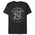 thumbnail image 1 of Men's Harry Potter Slytherin Ambition, Cunning, and Pride Graphic Tee Black 2X Large, 1 of 5