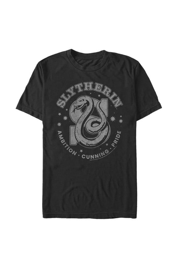 Men's Harry Potter Slytherin Ambition, Cunning, and Pride Graphic Tee Black Large