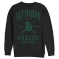 thumbnail image 1 of Men's Harry Potter Slytherin Quidditch Team Seeker Sweatshirt Black X Large, 1 of 4
