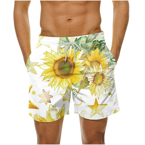 Men's Hawaiian Beach Shorts Drawstring Elastic High Waist Plus Size Casual Loose Summer Boradshorts Multicolor,5XL
