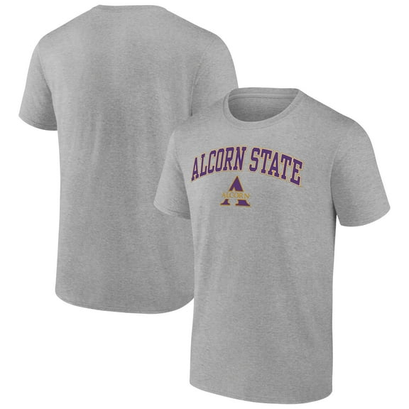 Men's Heather Gray Alcorn State Braves Campus T-Shirt