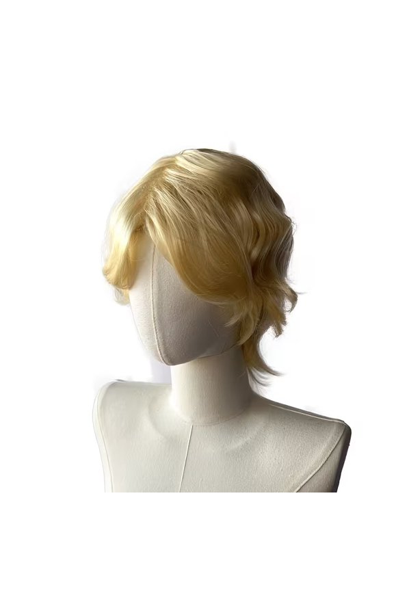 Men's High Temperature Synthetic Wig - Anime Cosplay Straight Wolf Tail with Bangs - Stylish and Comfortable Party Wig