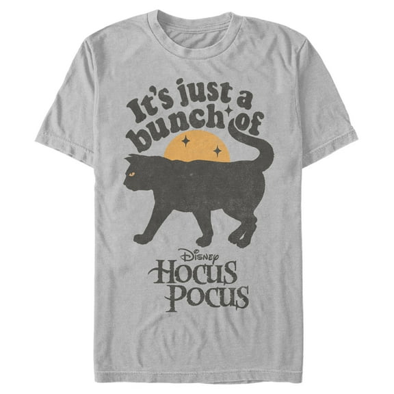 Men's Hocus Pocus Binx Cat Graphic Tee Silver Large