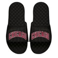 thumbnail image 1 of Men's ISlide Black Chicago Bulls Statement Slide Sandals, 1 of 1
