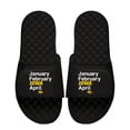 thumbnail image 1 of Men's ISlide Black Iowa Hawkeyes Months Slide Sandals, 1 of 1