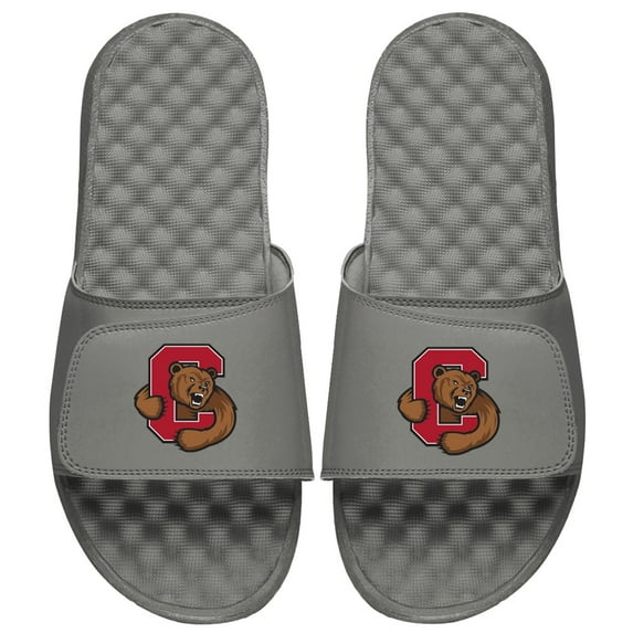 Men's ISlide Gray Cornell Big Red Primary Logo Slide Sandals