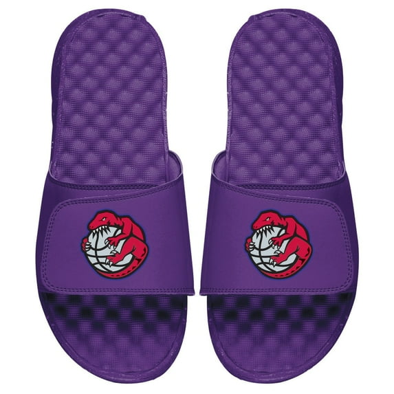 Men's ISlide Purple Toronto Raptors Hardwood Classics Big Mascot Logo Slide Sandals