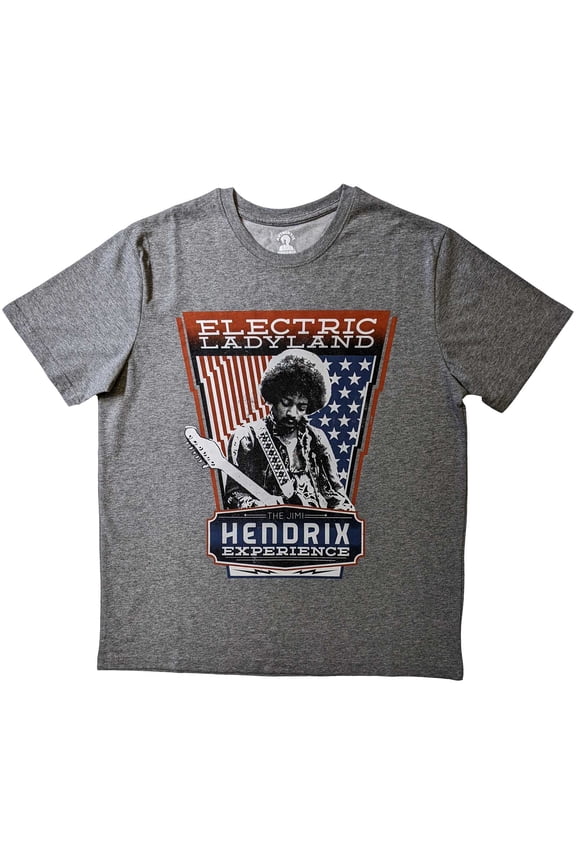 Men's Jimi Hendrix Electric Ladyland Slim Fit T-shirt Small Grey