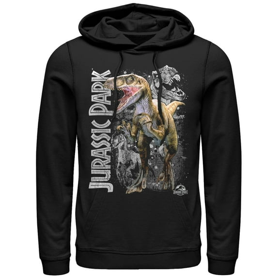 Men's Jurassic Park Raptor Dino Shadows Pull Over Hoodie Black Small