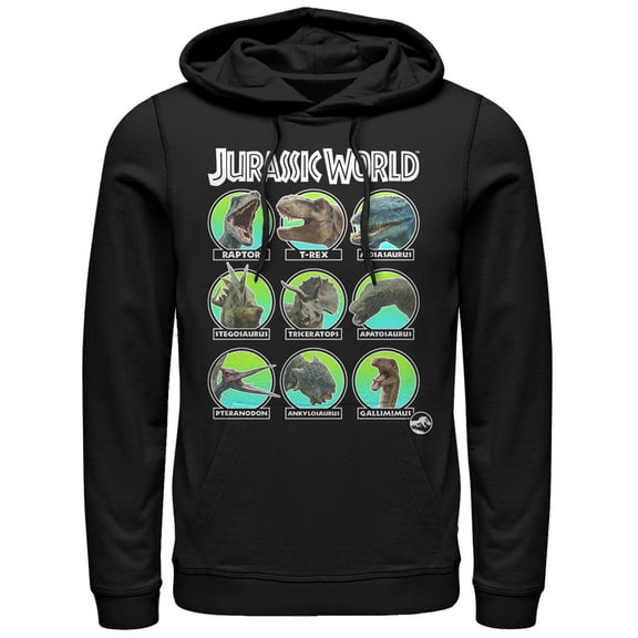 Men's Jurassic World: Fallen Kingdom Dino All Stars  Pull Over Hoodie Black 2X Large