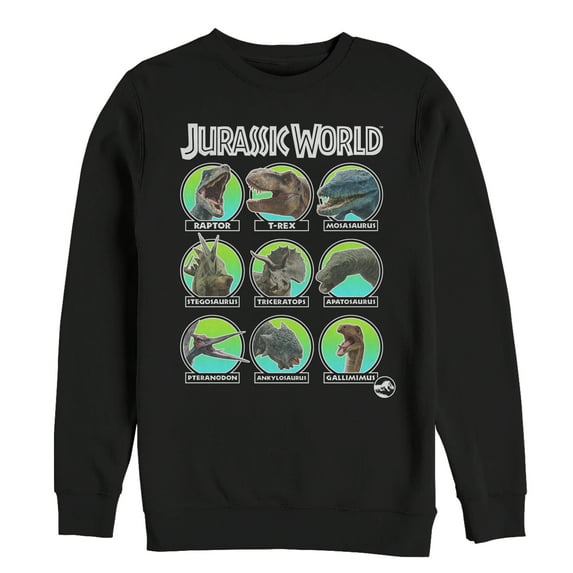 Men's Jurassic World: Fallen Kingdom Dino All Stars Sweatshirt Black X Large