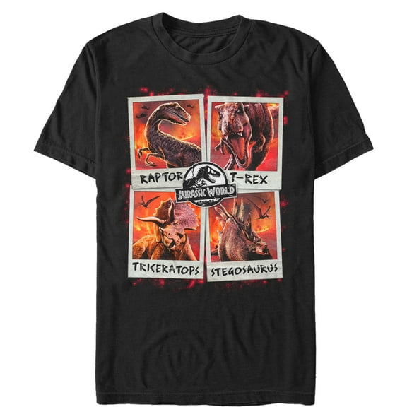 Men's Jurassic World: Fallen Kingdom Fire Polaroid Graphic Tee Black Small