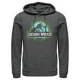 thumbnail image 1 of Men's Jurassic World T. Rex Spray Paint Logo  Pull Over Hoodie Charcoal Heather 2X Large, 1 of 3