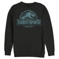 thumbnail image 1 of Men's Jurassic World Water Ripple Logo Sweatshirt Black 3X Large, 1 of 3
