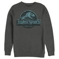 thumbnail image 1 of Men's Jurassic World Water Ripple Logo  Sweatshirt Charcoal Heather 2X Large, 1 of 3
