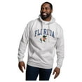 thumbnail image 1 of Men's League Collegiate Wear Heather Gray Florida Gators Essentials 2.0 Fleece Pullover Hoodie, 1 of 1