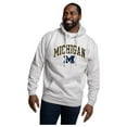 thumbnail image 1 of Men's League Collegiate Wear Heather Gray Michigan Wolverines Essentials 2.0 Fleece Pullover Hoodie, 1 of 1