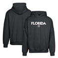 thumbnail image 1 of Men's Levelwear Black Florida Panthers Contact City Capsule Pullover Hoodie, 1 of 3