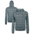 thumbnail image 1 of Men's Levelwear Gray Boston Bruins Albatross Raglan Pullover Hoodie, 1 of 3