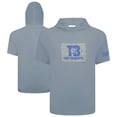 thumbnail image 1 of Men's Levelwear Gray Tampa Bay Rays 2025 Spring Training Phase Hoodie T-Shirt, 1 of 3