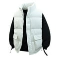 thumbnail image 1 of Men's Lightweight Quilted Sleeveless Vest Warm Winter Outerwear Coat For Cold Weather Casual Wear, 1 of 4
