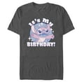 thumbnail image 1 of Men's Lilo & Stitch Angel It's My Birthday Graphic Tee Charcoal Heather X Large, 1 of 5
